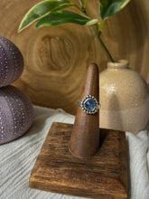 Load image into Gallery viewer, Blue Kyanite Size 5.5