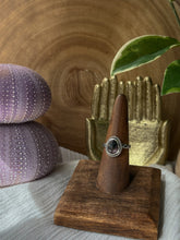 Load image into Gallery viewer, Sapphire Sweetie Size 7